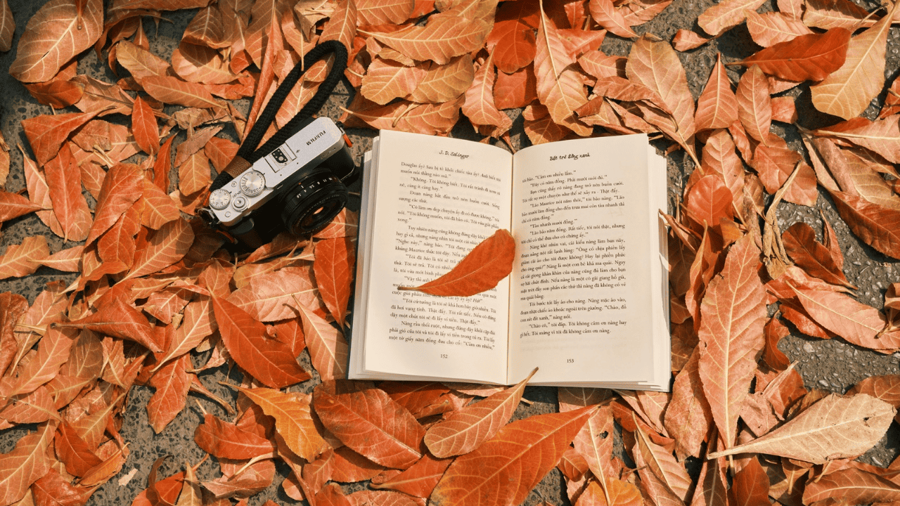 8 Perbedaan Novel dan Cerpen dalam Karya Sastra