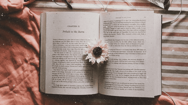 8 Cara Menentukan Judul Novel yang Bisa Menarik Pembaca